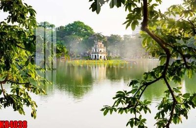 File tranh File tranh gốc tổng hợp K84038 (gốc) in film