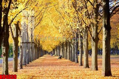 File in ấn File tranh gốc tổng hợp K84039 (bản gốc) cao cấp