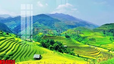 File in ấn File tranh gốc tổng hợp K84051 chuyên nghiệp