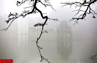 Tải file gốc File tranh gốc tổng hợp K84079 (để in lụa)