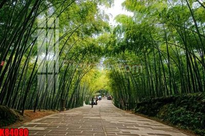 Tải file File tranh gốc tổng hợp K84080 (PSD) cho in ấn quảng cáo