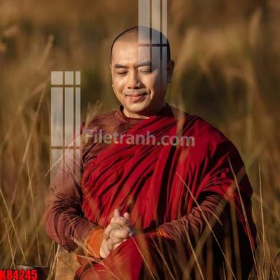 File tranh in trần File tranh gốc tổng hợp K84245 (ảnh gốc siêu nét)