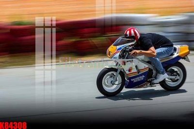 File tranh File tranh gốc tổng hợp K84308 (bản gốc) in lụa dán tường