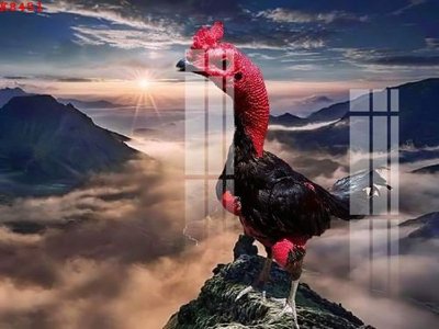 Mua file gốc File gốc in tranh tổng hợp K8451 (chất lượng) tại Filetranh.com