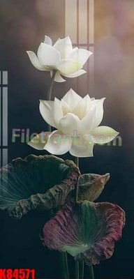 File tranh File tranh gốc tổng hợp K84571 (ảnh gốc) độc quyền