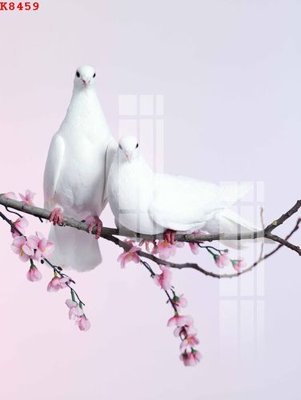 File gốc File gốc in tranh tổng hợp K8459 (in tráng gương) sang trọng