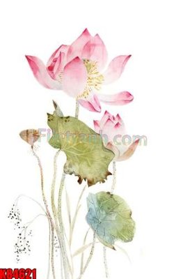 File tranh File tranh gốc tổng hợp K84621 (gốc) in trên kính