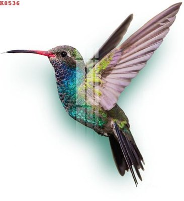 Tải file gốc File gốc in tranh tổng hợp K8536 (in khổ lớn) không mờ