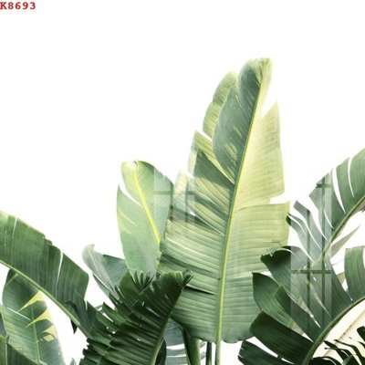 File gốc File gốc in tranh tổng hợp K8693 (in lụa) tranh phong thủy