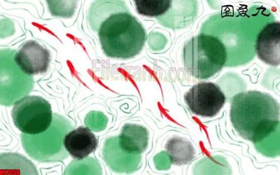 File tranh File gốc in tranh tổng hợp tường nền K87058 (gốc) in trên kính