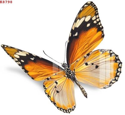 File gốc File gốc in tranh tổng hợp K8798 (in mica) làm bảng hiệu