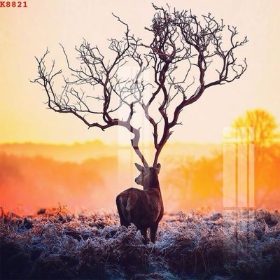 Cung cấp file tranh gốc File gốc in tranh tổng hợp K8821 độc quyền