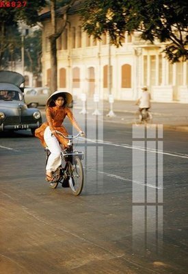 Tải file gốc File gốc in tranh tổng hợp K8827 (in khổ lớn) không mờ