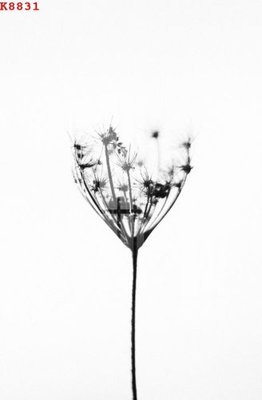 File tranh File gốc in tranh tổng hợp K8831 (bản gốc) in canvas