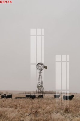 File gốc in ấn File gốc in tranh tổng hợp K8934 độ phân giải cao