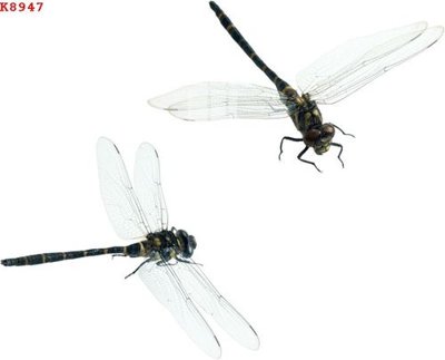 File gốc File gốc in tranh tổng hợp K8947 (phong cách) cổ điển