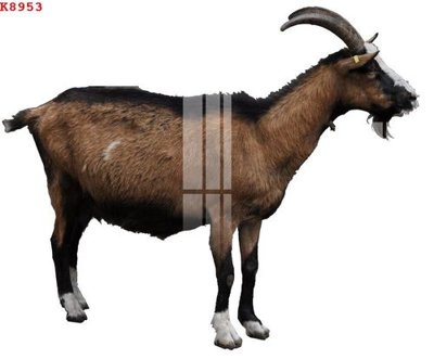 File gốc File gốc in tranh tổng hợp K8953 (PSD/TIFF) độ phân giải cao