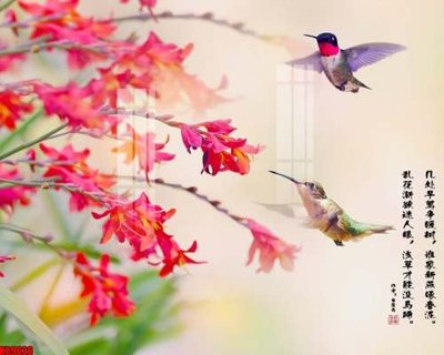 File tranh File tranh gốc tổng hợp tranh nền tường đẹp K89626 (bản gốc) in lụa 5D