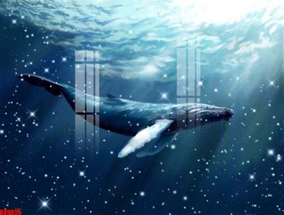 Ảnh gốc File tranh gốc tổng hợp tranh nền tường đẹp K89655 (nét căng) in mica