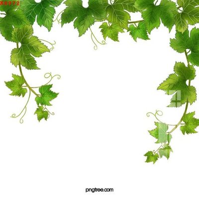 File ảnh File gốc in tranh tổng hợp K8972 (gốc) in PP, decal