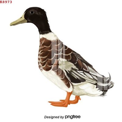 Tải về file gốc File gốc in tranh tổng hợp K8973 (dùng cho in quảng cáo)