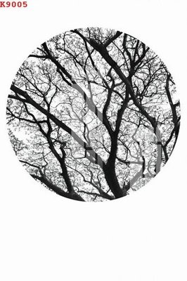 Tải file File gốc in tranh tổng hợp K9005 (gốc) in tranh tráng gương