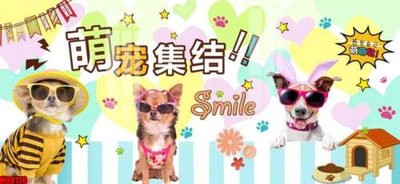 File in ấn File tranh gốc tổng hợp tranh nền tường đẹp K90170 (bản gốc) từ file gốc