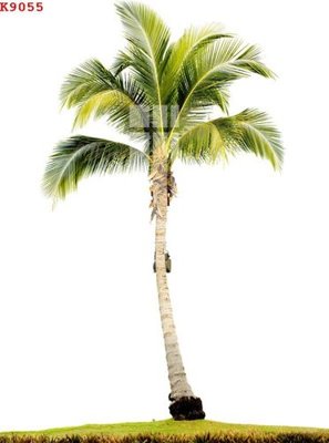 File gốc File gốc in tranh tổng hợp K9055 (cho in ấn) từ kho Filetranh