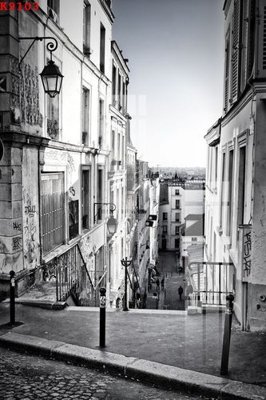 File in trần File gốc in tranh tổng hợp K9103 (file gốc) hoa văn 3D