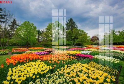 File gốc File gốc in tranh tổng hợp K9161 (in mica) làm quà tặng