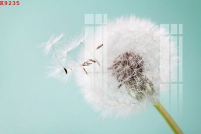 Tải file File gốc in tranh tổng hợp K9235 (gốc) chủ đề tôn giáo