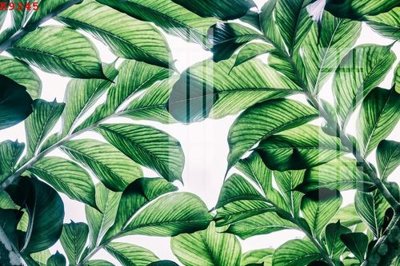 File gốc in mica File gốc in tranh tổng hợp K9245 chất lượng