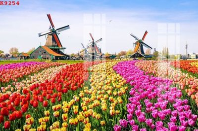 Tải file File gốc in tranh tổng hợp K9254 (PSD) cho in ấn quảng cáo