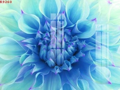 File tranh File gốc in tranh tổng hợp K9260 (ảnh gốc) in trần nhà