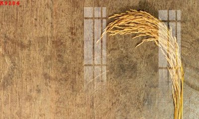 File gốc in ấn File gốc in tranh tổng hợp K9284 chuẩn màu CMYK