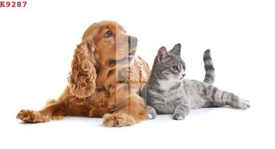 File gốc File gốc in tranh tổng hợp K9287 cho in ấn và thiết kế