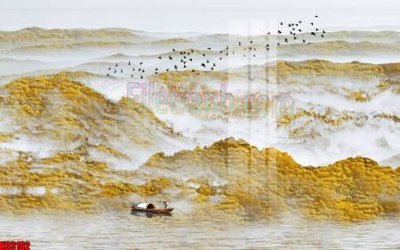 File gốc File tranh gốc tổng hợp tranh nền tường đẹp K93162 (AI/EPS) cho in ấn