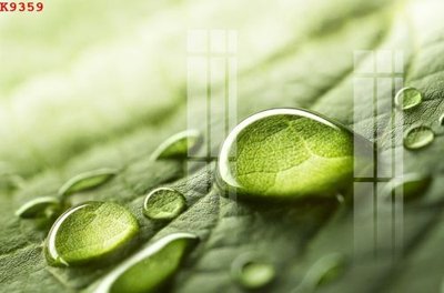 Tải file gốc File gốc in tranh tổng hợp K9359 (in khổ lớn) không mờ