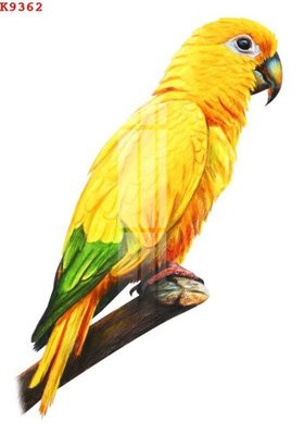 File gốc File gốc in tranh tổng hợp K9362 (ảnh chi tiết) để in trần