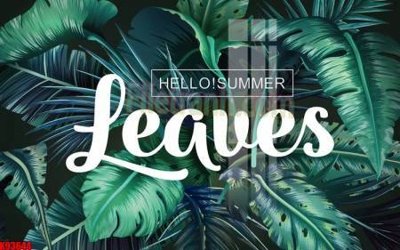 Download file gốc File tranh gốc tổng hợp tranh nền tường đẹp K93644 (in mica) logo