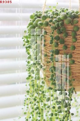 File gốc File gốc in tranh tổng hợp K9385 (trang trí) cho phòng khách