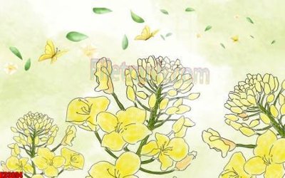 File gốc File tranh gốc tổng hợp tranh nền tường đẹp K93894 (in mica) trang trí