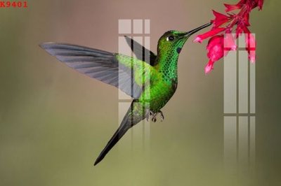 File gốc File gốc in tranh tổng hợp K9401 (in tráng gương) ốp tường