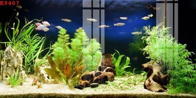 Tải file gốc File gốc in tranh tổng hợp K9407 (in không vỡ ảnh)