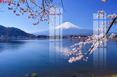 File in ấn File gốc in tranh tổng hợp K9496 (bản gốc) chất lượng cao