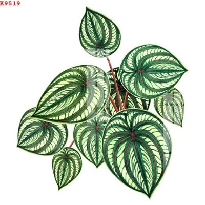 Tải file gốc File gốc in tranh tổng hợp K9519 (in khổ lớn) quảng cáo