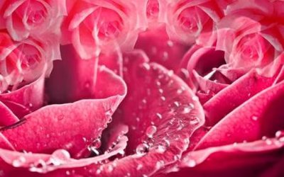 File tranh in mica File tranh gốc tổng hợp tranh nền tường đẹp K95489 (độ phân giải cao)