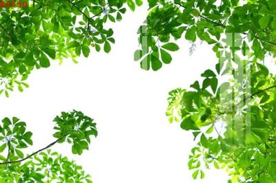 File gốc File gốc in tranh tổng hợp K9550 (in mica) cắt laser