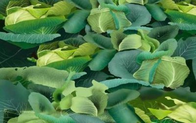 File tranh File tranh gốc tổng hợp tranh nền tường đẹp K96204 (bản gốc) in canvas