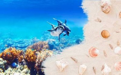 File in ấn cao cấp File tranh gốc tổng hợp tranh nền tường đẹp K96314 (file gốc)